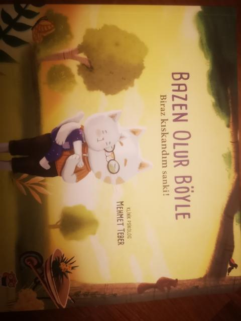 Bazen Olur Böyle 
